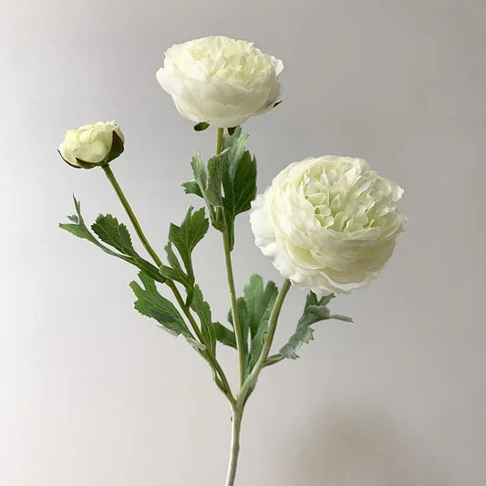 Ranunculus Flower Stems - 21”